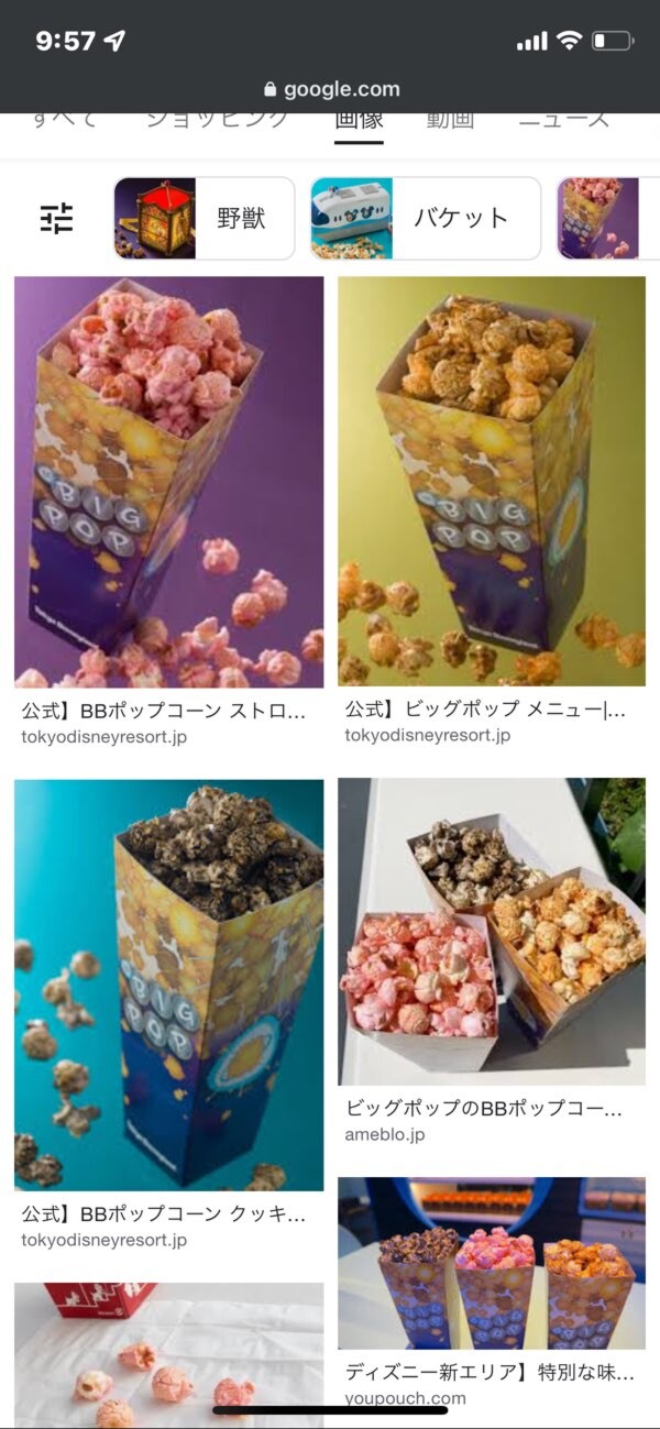 ディズニーランドのポップコーンは ハ アチコチ By ママリ