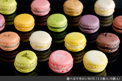 選べるマカロン(12個入り)