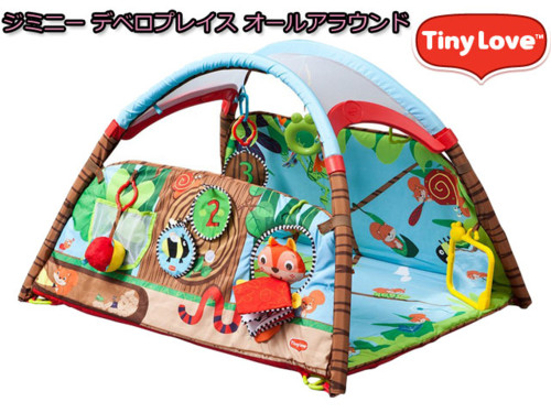 ジミニー デベロプレイス オールアラウンド