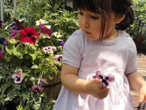 PETIT BATEAU プチバトーワンピース半袖・リラ